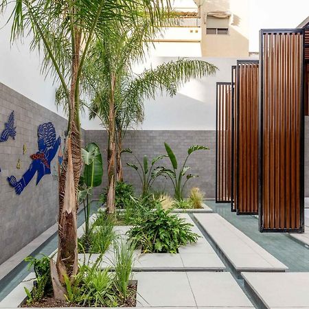 فندق The Newel Psychiko أثينا المظهر الخارجي الصورة The courtyard of the museum